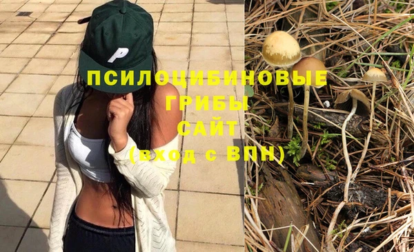 ГАЛЛЮЦИНОГЕННЫЕ ГРИБЫ Алексеевка