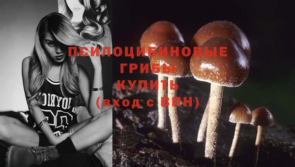 герыч Алзамай