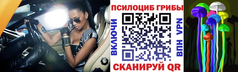 Галлюциногенные грибы GOLDEN TEACHER  кракен ССЫЛКА  Суровикино  купить наркотики сайты 
